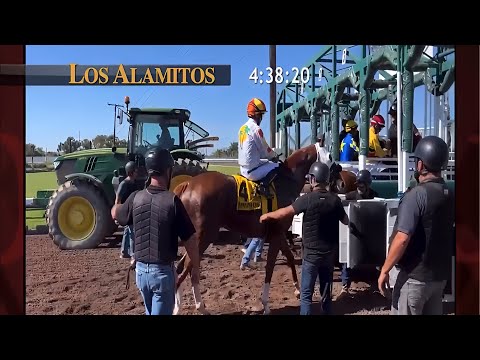 Wynstock, Los Alamitos Derby, 2024 replay