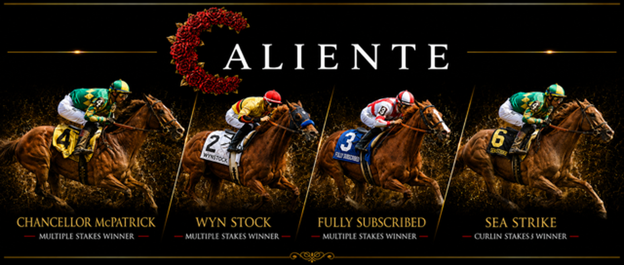 Caliente Thoroughbreds graduates: Chancer McPatrick, Wynstock, Fully Subscribed and Sea Strike (Curlin Stakes Winner)