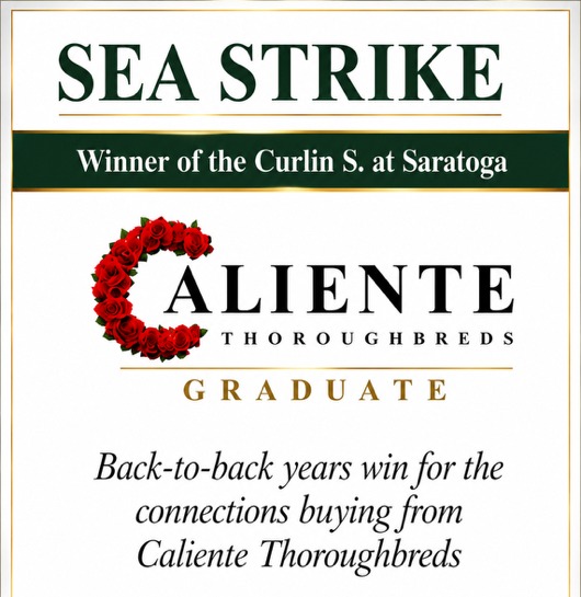 Sea Strike, winner of the Curlin S. at Saratoga, Caliente Thoroughbreds Graduate